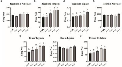 Benefits of heat-killed Lactobacillus acidophilus on growth performance, nutrient digestibility, antioxidant status, immunity, and cecal microbiota of rabbits